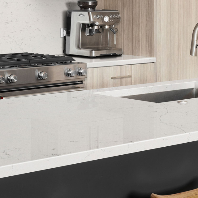 calacatta-botanica-quartz-a 2